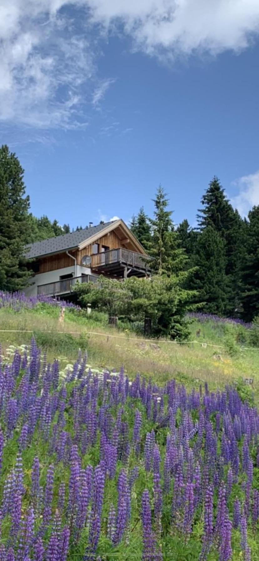 Chalet Claassen Turracher Hohe Eksteriør bilde